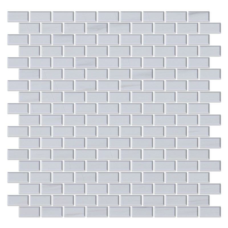 Minibrick