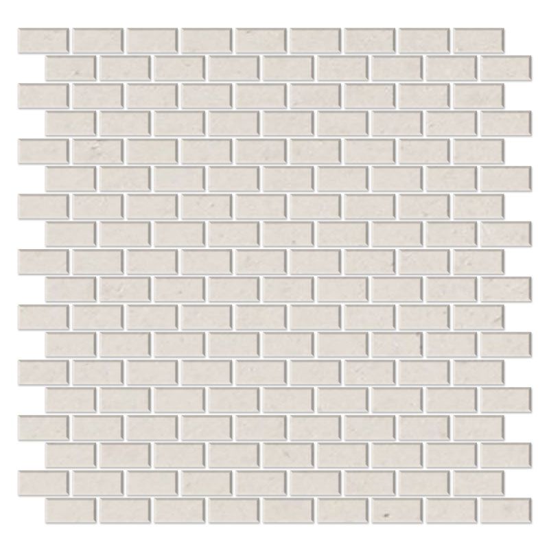 Minibrick